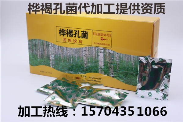 樺褐孔菌代加工 樺褐孔菌樺樹茸代加工