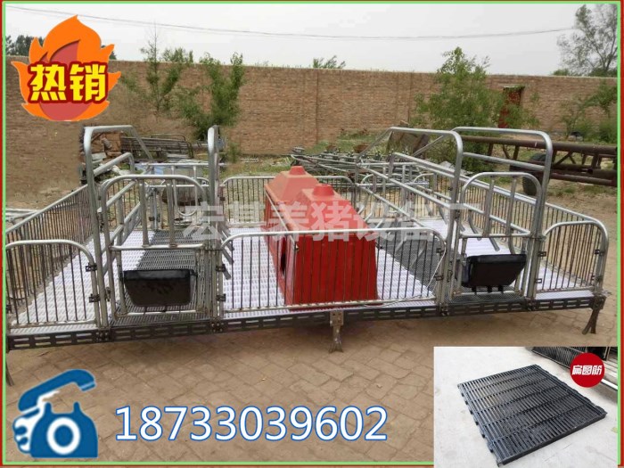 球墨鑄鐵腿母豬產(chǎn)床雙體分娩產(chǎn)子床宏基畜牧u養(yǎng)豬設(shè)備生產(chǎn)廠家直銷