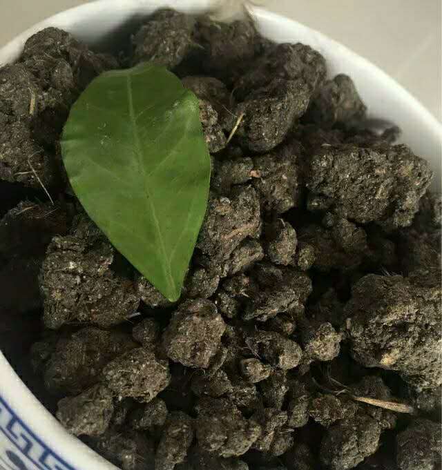 生物有機肥 發(fā)酵雞糞 發(fā)酵羊糞 發(fā)酵牛糞 發(fā)酵有機肥 完全發(fā)酵腐