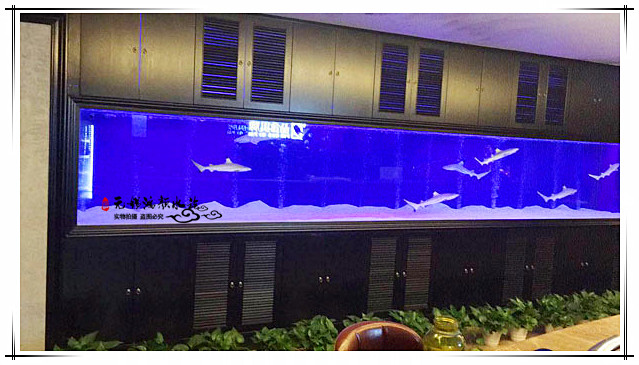 常州大型魚缸定做廠家直銷