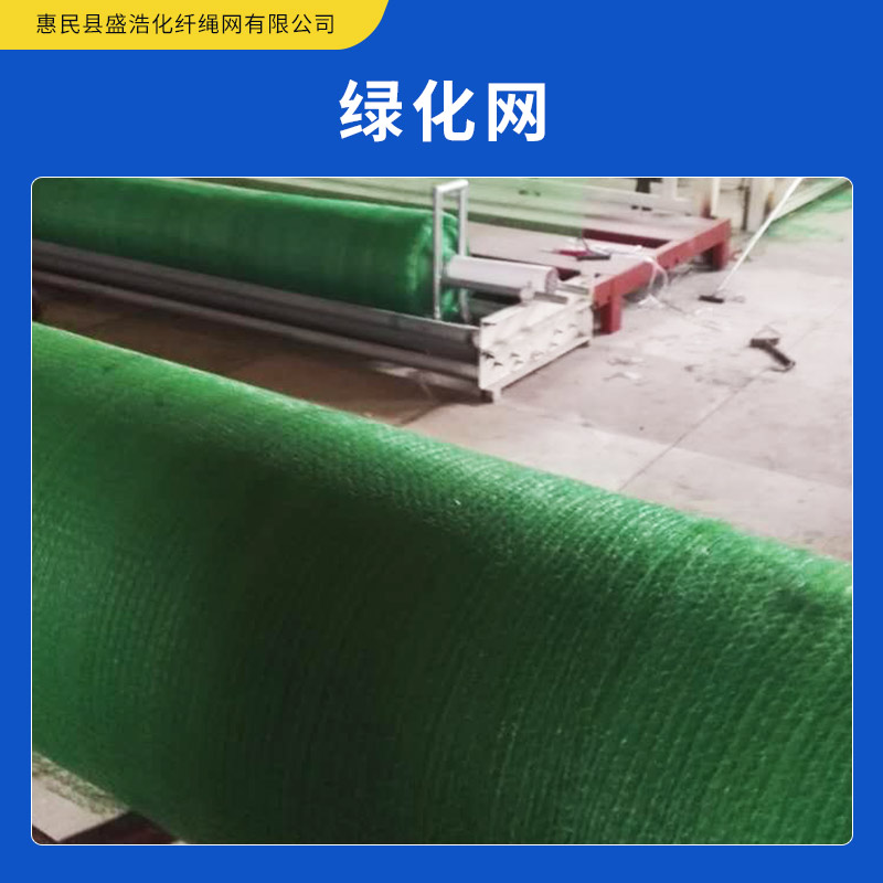 綠化網(wǎng)生產(chǎn) 封山網(wǎng) 蓋土網(wǎng) 防塵網(wǎng) 聚乙烯綠化網(wǎng) 歡迎來電咨詢