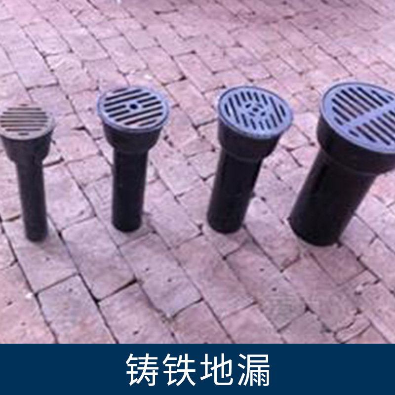 鑄鐵地漏110 地漏專業(yè)生產(chǎn)廠家 地漏報價 河北地漏專業(yè)生產(chǎn)廠家
