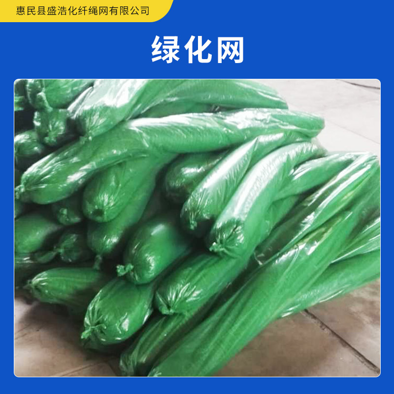 綠化網(wǎng)生產(chǎn) 封山網(wǎng) 蓋土網(wǎng) 防塵網(wǎng) 聚乙烯綠化網(wǎng) 歡迎來電咨詢