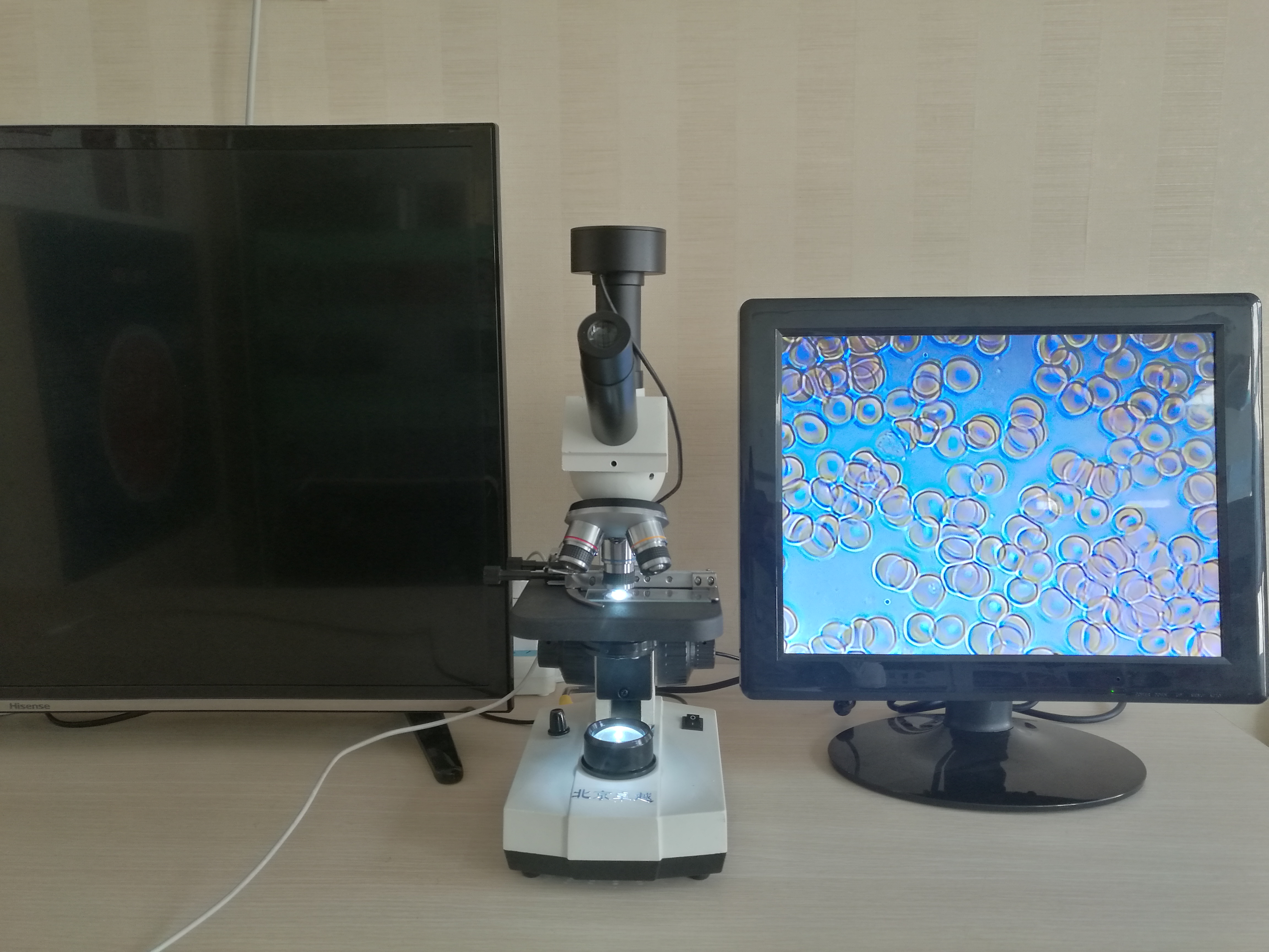 北京*zy1500一滴血檢測儀