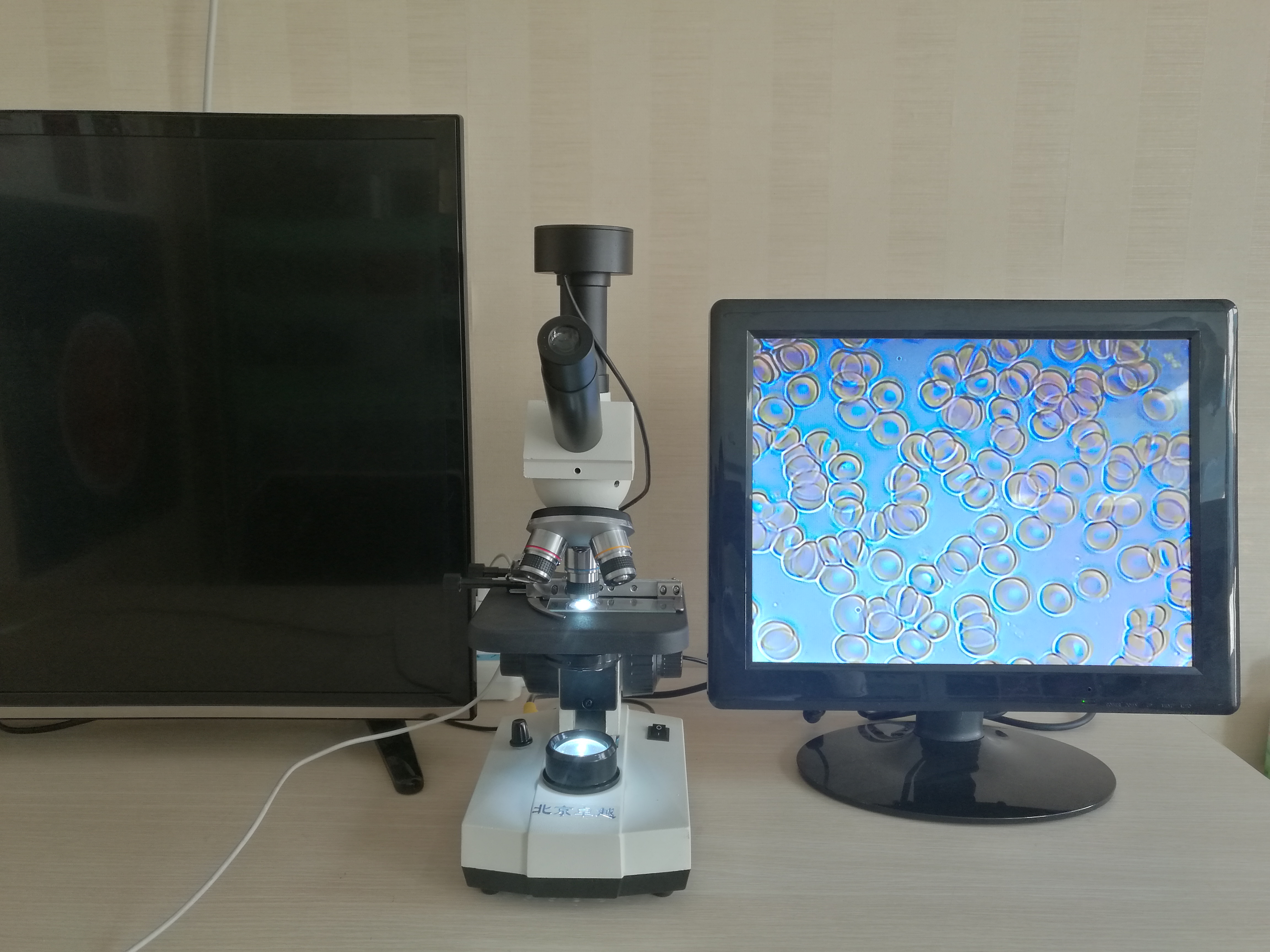 北京*zy1500一滴血檢測儀