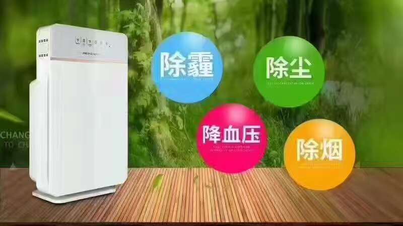 空氣凈化器  白云山G02空氣凈化器  負(fù)離子空氣凈化器 多功能生態(tài)儀
