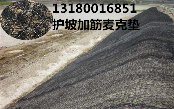 山坡復(fù)綠10%鋅鋁合金加筋麥克墊