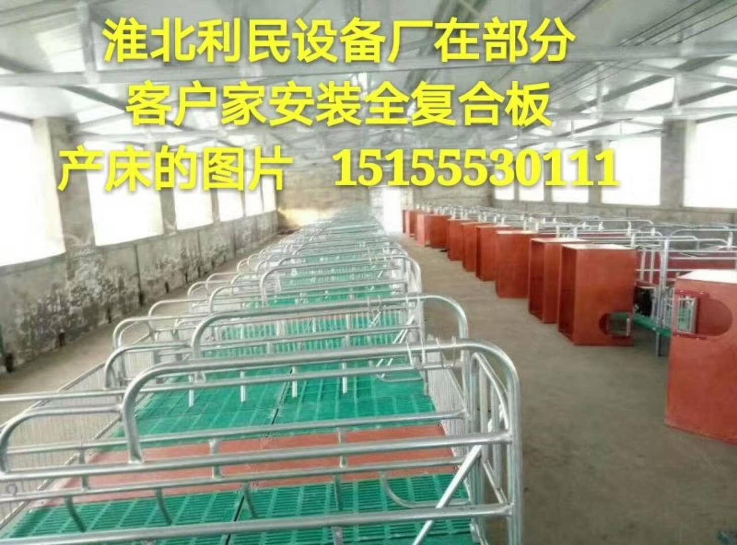 養(yǎng)豬產(chǎn)床設(shè)備價(jià)格