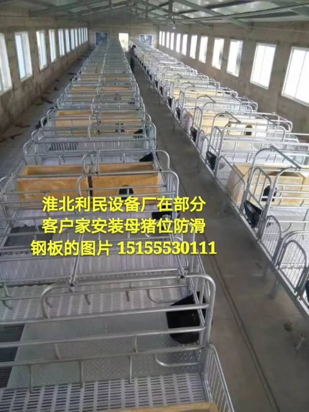 養(yǎng)豬產(chǎn)床設(shè)備價(jià)格