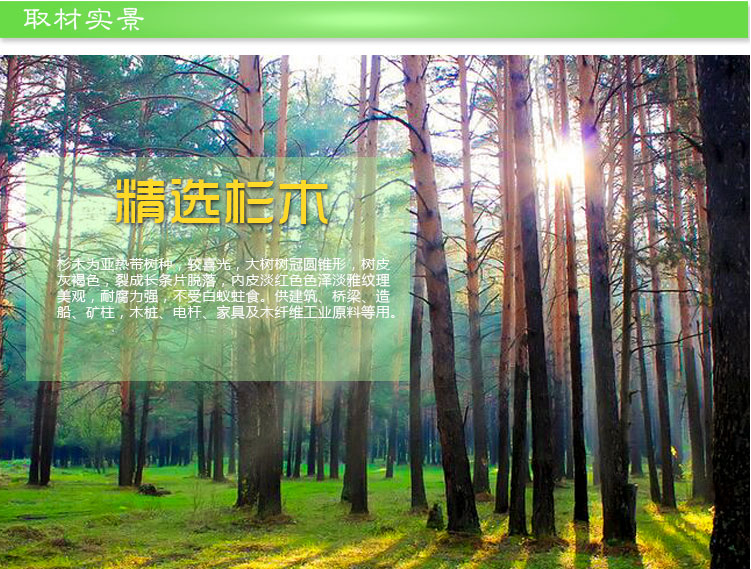 益精蜂箱牌中標(biāo)十框標(biāo)準(zhǔn)巢箱蜂具 蜂箱 蜜蜂 中蜂 養(yǎng)蜂具廠家直銷