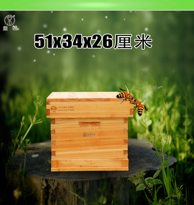 益精單層箱體中蜂七框 巢箱 底箱51×34 蜂具 養(yǎng)蜂工具 十框蜂箱 中蜂七框巢箱