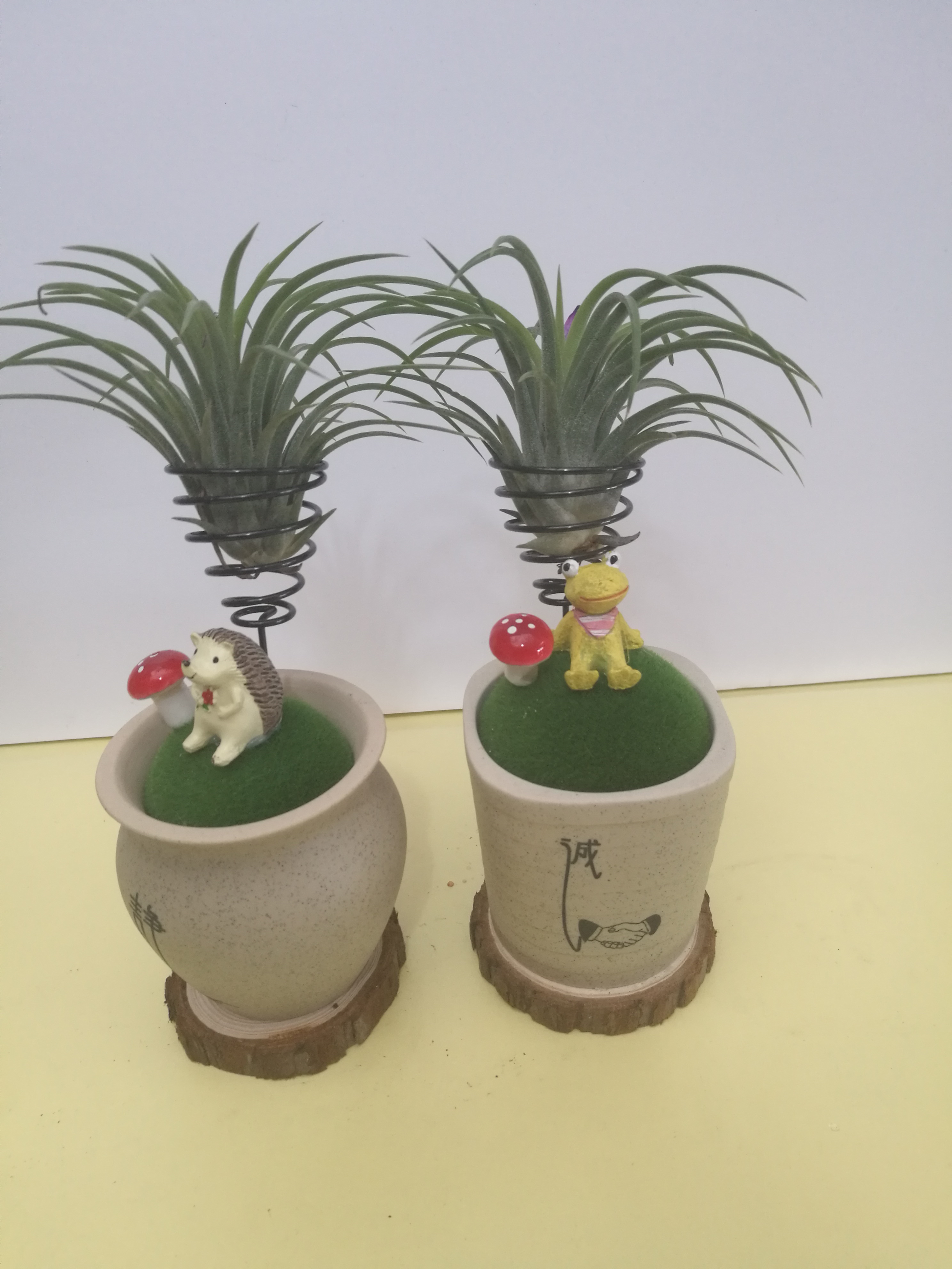 空氣鳳梨-文化杯