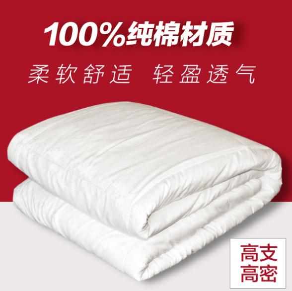 真絲貢緞提花蠶絲被 空調被芯單雙人秋冬被子床上用品廠家直銷