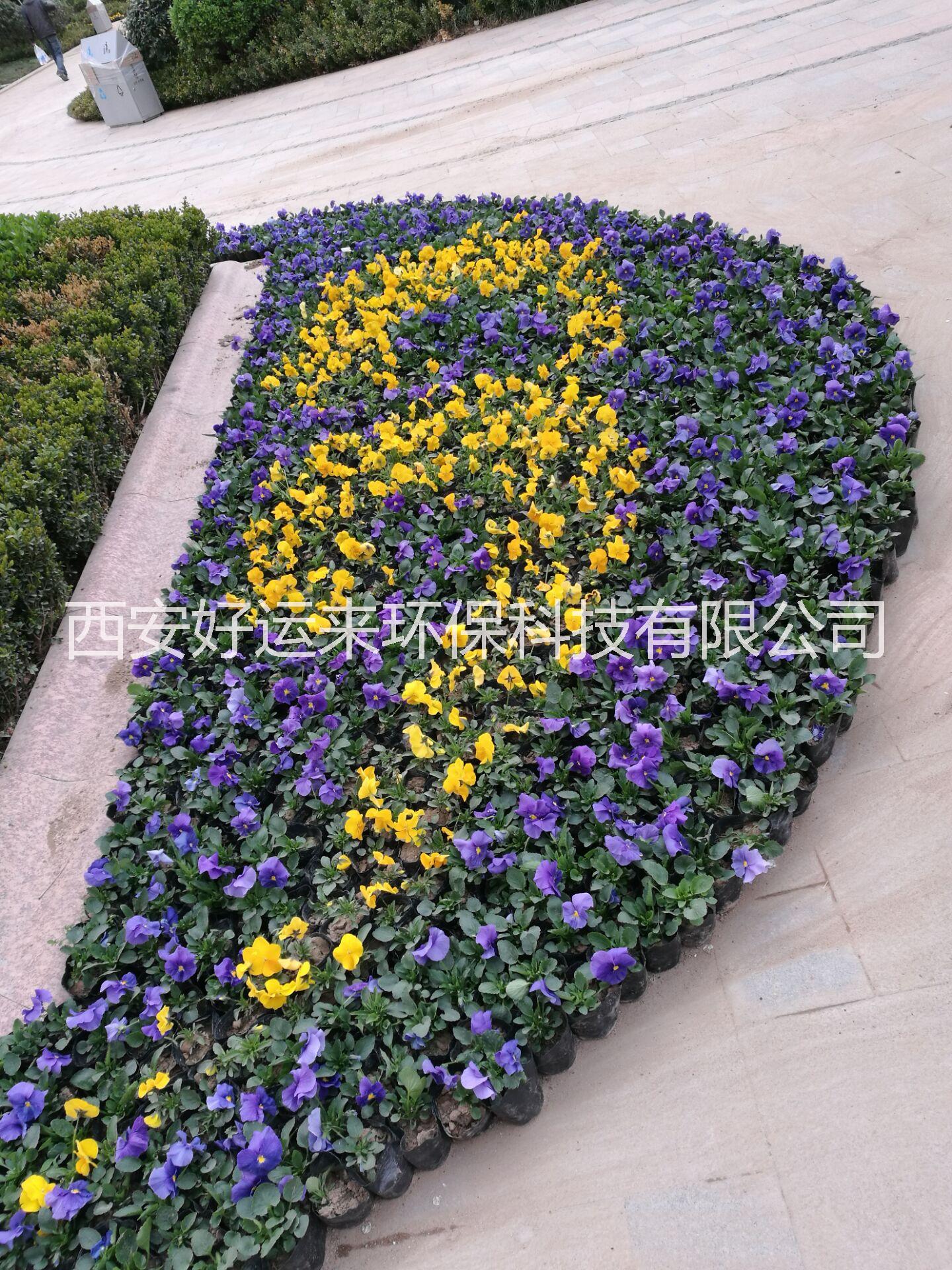 立體花墻制作 專業(yè)制作立體花墻制作