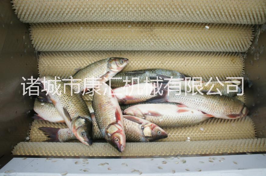 豬頭豬蹄清洗機(jī),羊頭羊蹄清洗機(jī)