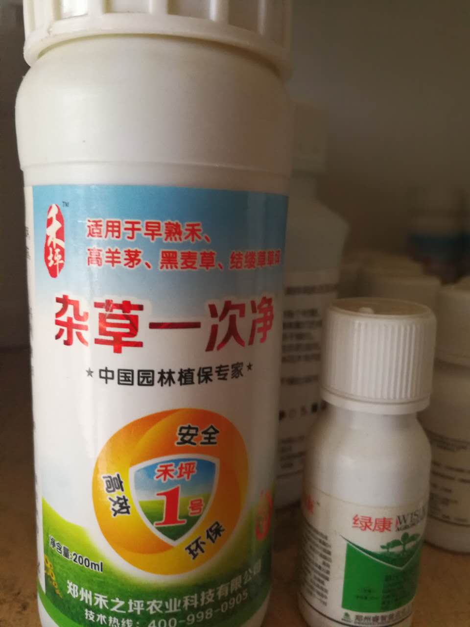 石家莊大禹園林供應(yīng)綠化草坪*白三葉* 廠家直銷*惠