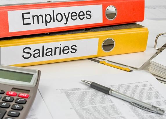 薪酬體系設(shè)計(jì)咨詢專業(yè)服務(wù)