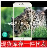 iphonex鋼化膜蘋(píng)果678splus鋼化玻璃膜5se防刮特硬包裝盒一件代發(fā)