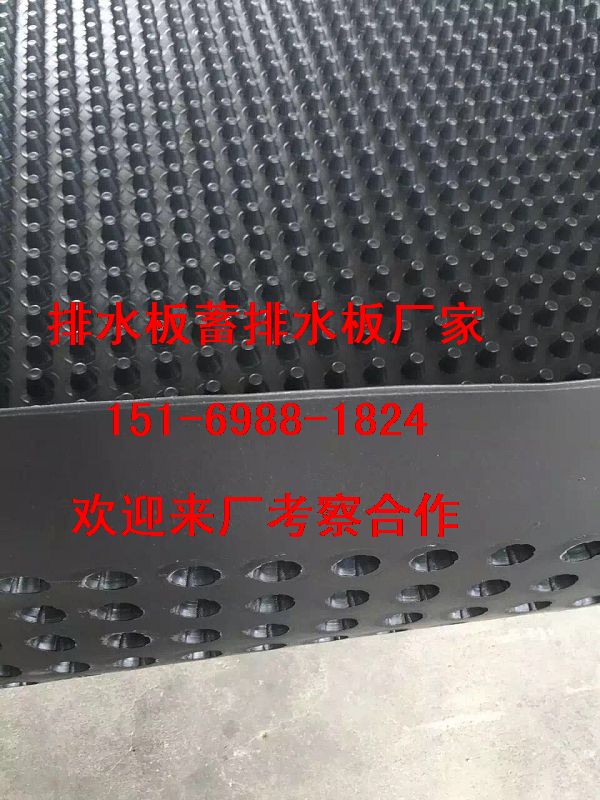 瀘州%%成都2公分高車庫(kù)排水板價(jià)格直銷15169881824 瀘州2公分車庫(kù)排水板