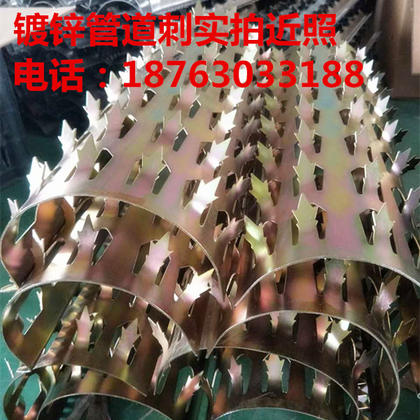 201、304不銹鋼防爬刺 刺釘 刺繩 陽臺(tái)平板防爬刺 燃?xì)夤艿来?自來水管道刺