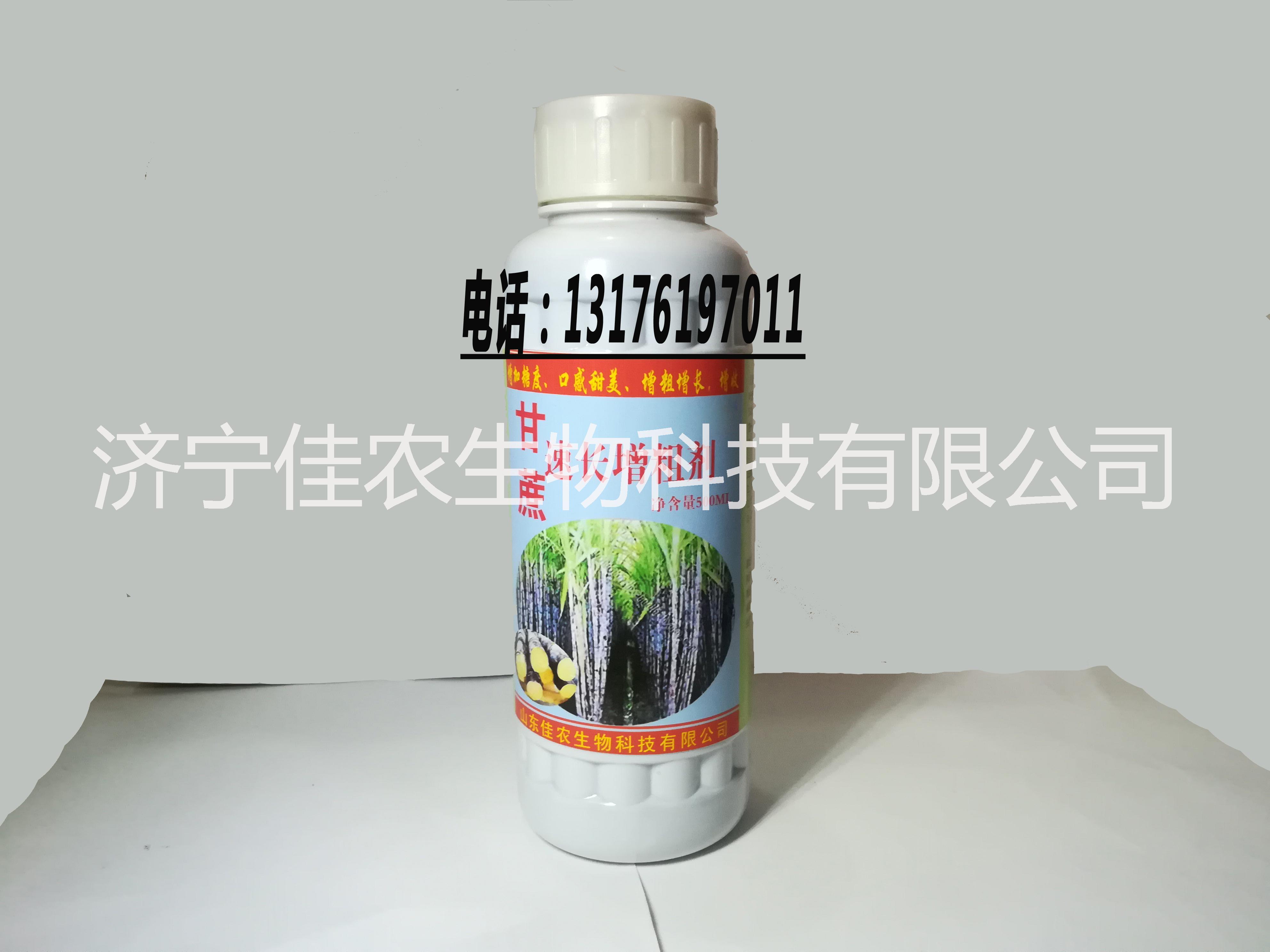 生產(chǎn)批【甘蔗速長增粗劑 】葉面噴施肥 增粗 增長 增收