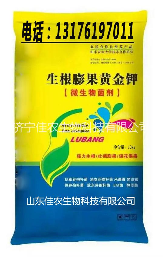 供應(yīng) 生根膨果黃金鉀 生物沖施肥 佳農(nóng) 生根膨果黃金鉀 生物沖施肥
