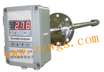 維格思在線煙氣濕度儀 VG90