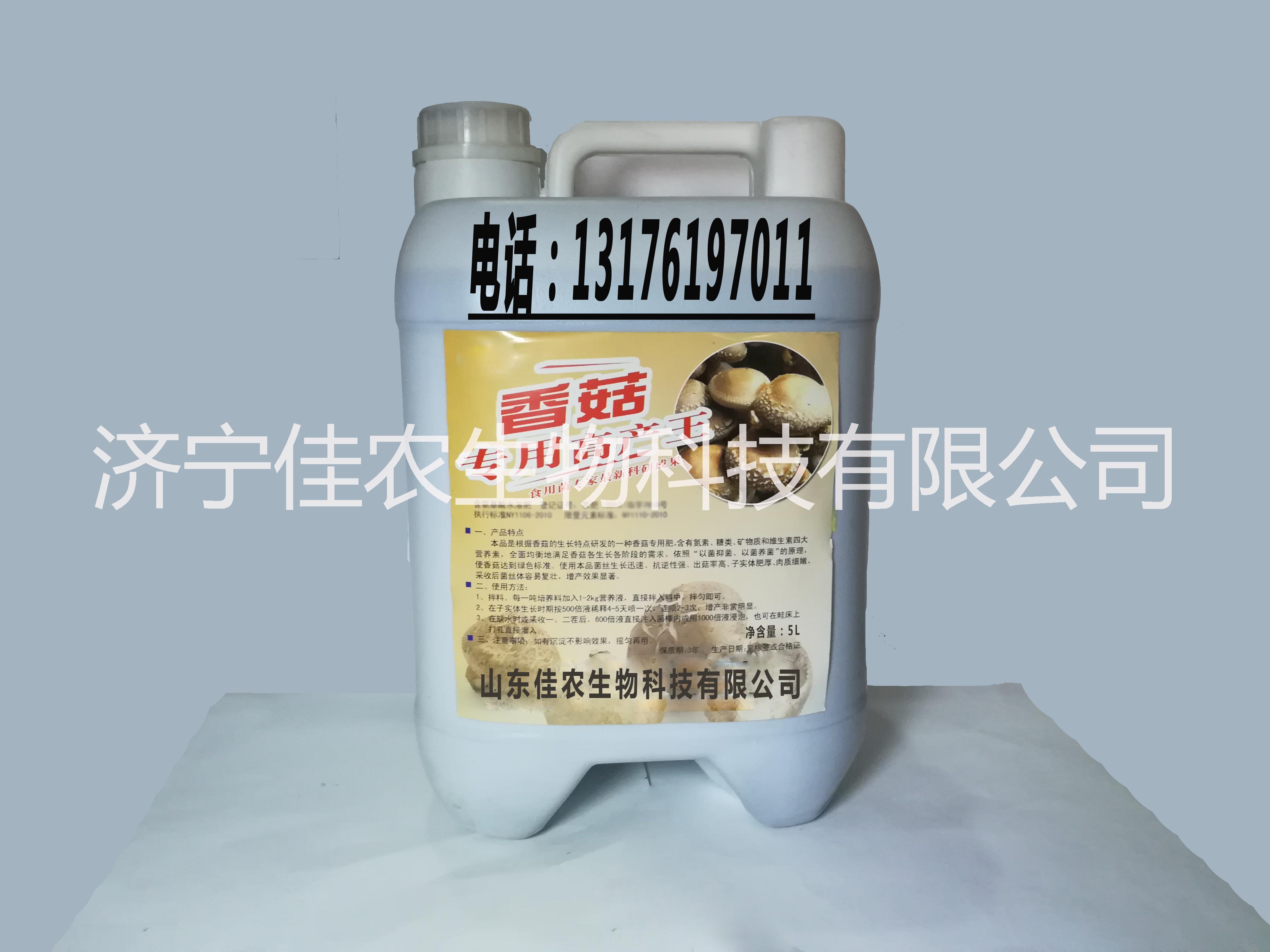 批發(fā)【香菇*高產(chǎn)王】食用菌大棚批發(fā)銷售 出菇率高 供應(yīng)湖北香菇*高產(chǎn)王食用菌大棚