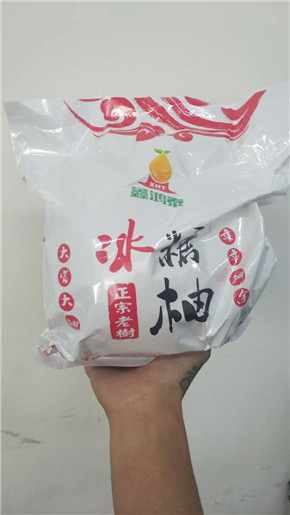 柚子 沙田柚 老樹蜜柚