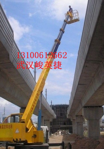 仙桃哪里有價格合理的直臂車出租公司