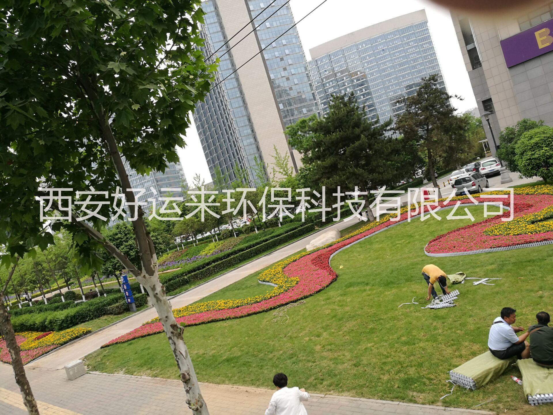 鋪草皮，草皮鋪設(shè) 鋪草皮，草皮鋪設(shè)，西安鋪草皮