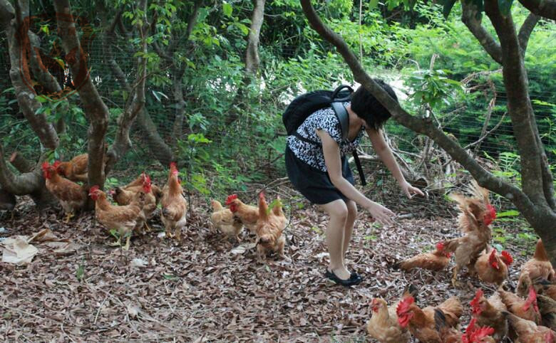 深圳野炊農(nóng)家樂員工活動體驗好地方