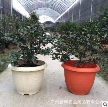 花盆 花盆批發(fā)價(jià)格 花盆生產(chǎn)廠家 種花塑料盆供應(yīng)商