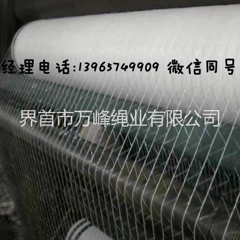 打捆網(wǎng)猛王園打捆機(jī)捆草網(wǎng)  蒙拓圓捆機(jī)圖片江蘇捆草網(wǎng)繩規(guī)格可定做