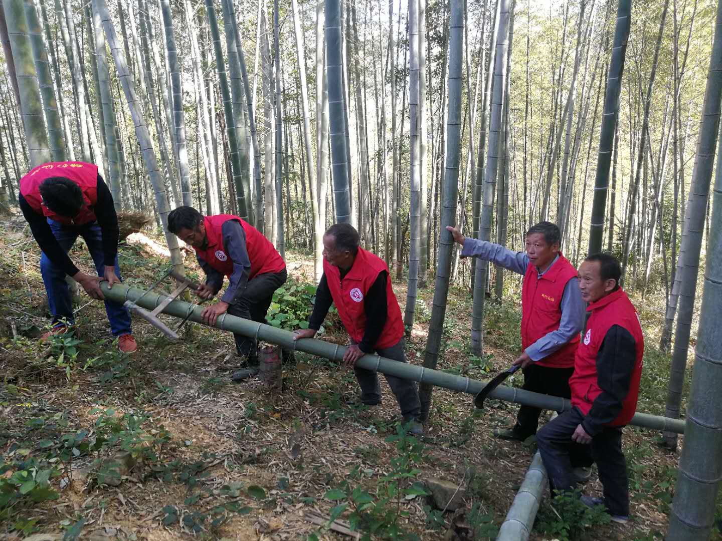 湖北52度一斤裝批發(fā) 湖北竹筒酒招代理批發(fā) 湖北竹筒酒廠家 湖北竹子酒批發(fā)基地