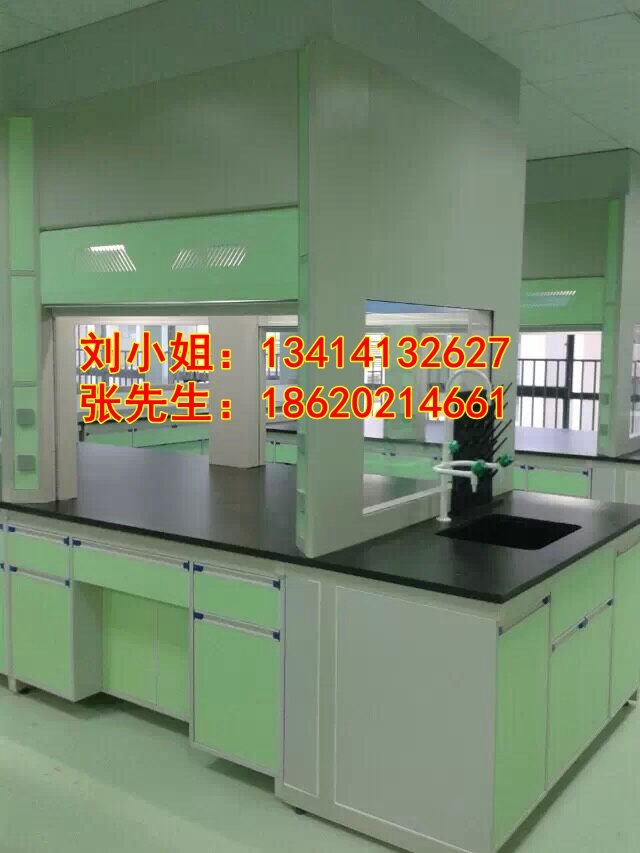 廣東實(shí)驗(yàn)通風(fēng)柜 通風(fēng)櫥價(jià)格 化驗(yàn)室通風(fēng)柜廠商供應(yīng)