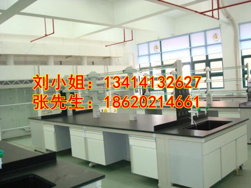 廣東實驗室家具實驗操作臺 供應(yīng)鋼木全鋼不銹鋼實驗邊臺中央臺儀器臺