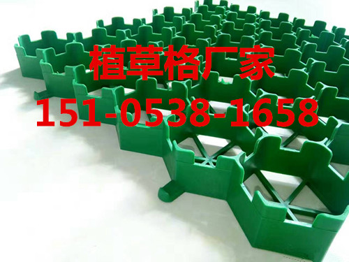 植草格|塑料植草格|停車場植草格 HDPE植草格