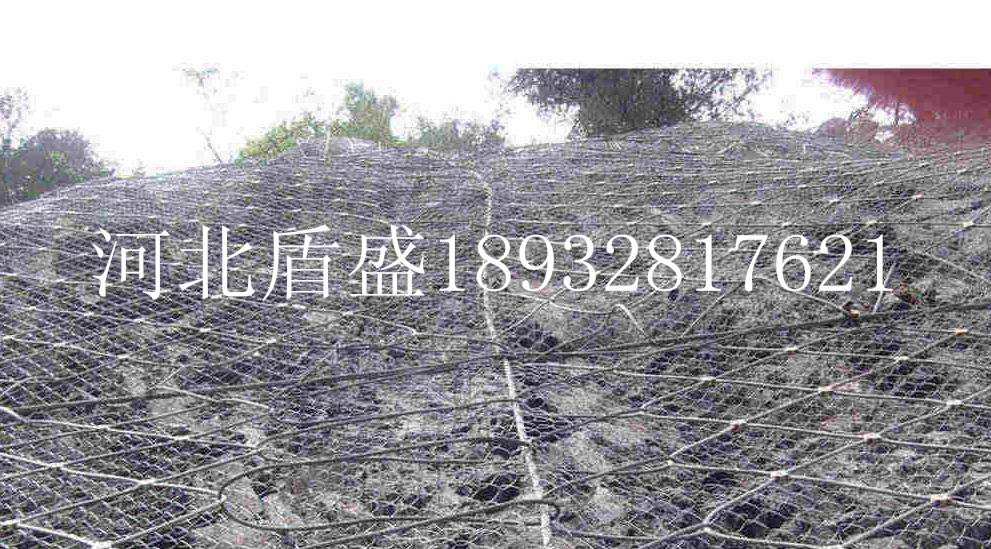 廠家S250型SPIDER絞索網(wǎng)