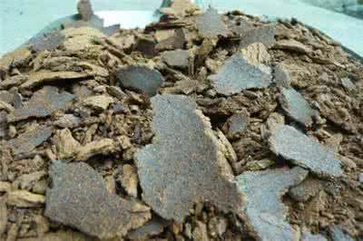 養(yǎng)殖場(chǎng)大量求購(gòu)黃餅青餅漢江養(yǎng)殖