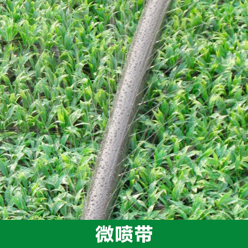 雙城節(jié)水灌溉公司供應微噴帶 優(yōu)質田地噴灌帶 環(huán)保節(jié)能灌溉設備