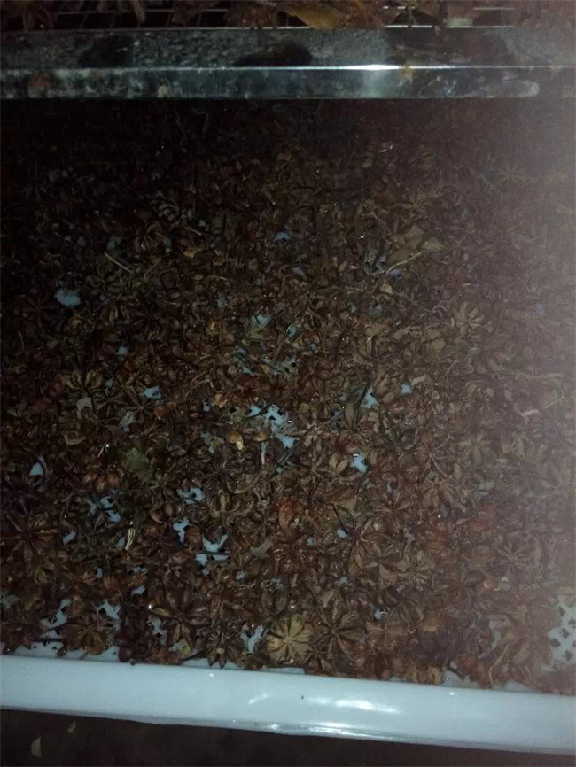 供應(yīng)八角烘干機廠家直銷_八角烘干機批發(fā)_八角烘干機價格 農(nóng)副產(chǎn)品八角烘干機批發(fā)