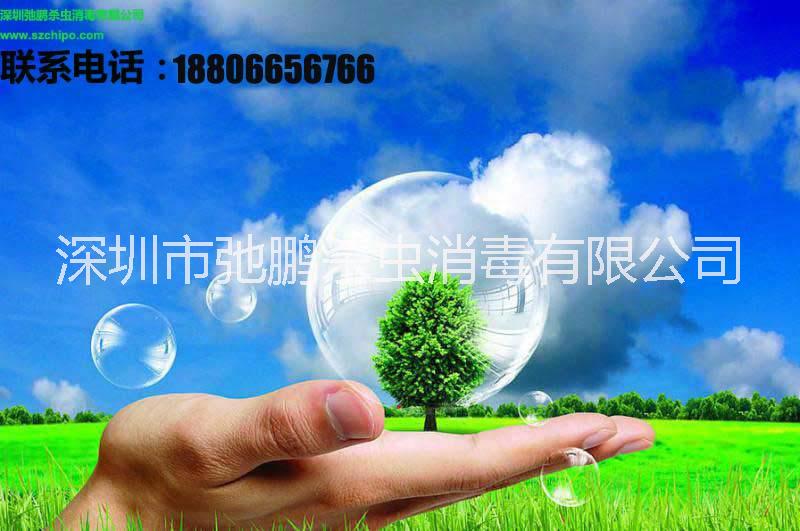 滅鼠 沙井殺蟲(chóng)公司 福永治理四害