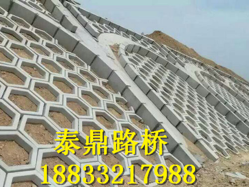 泰鼎路橋直銷 實心六角護坡模具等模具