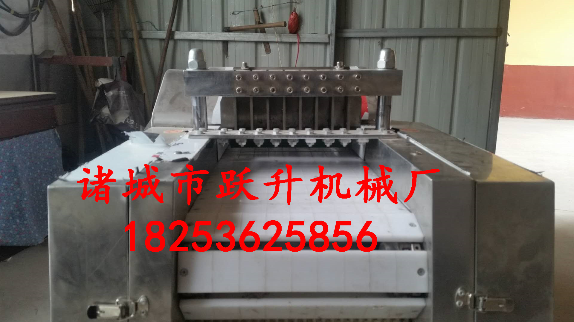 雞鴨鵝自動切塊機廠家直銷