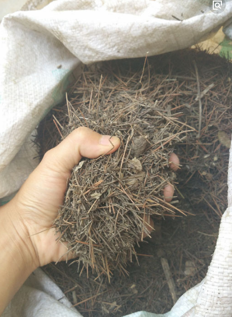 蓋土  腐殖土  松針土  育苗土  廠家供應(yīng)