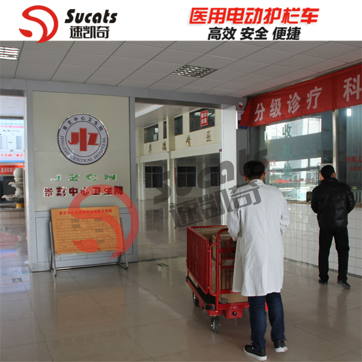 電動平板車物流手推搬運(yùn)車速凱奇