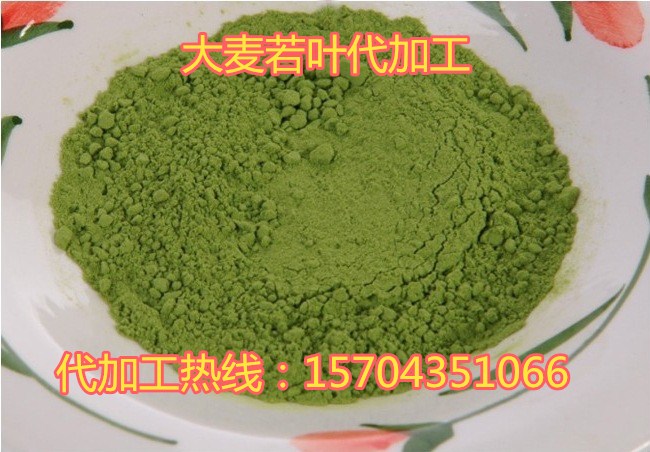 大麥若葉代加工