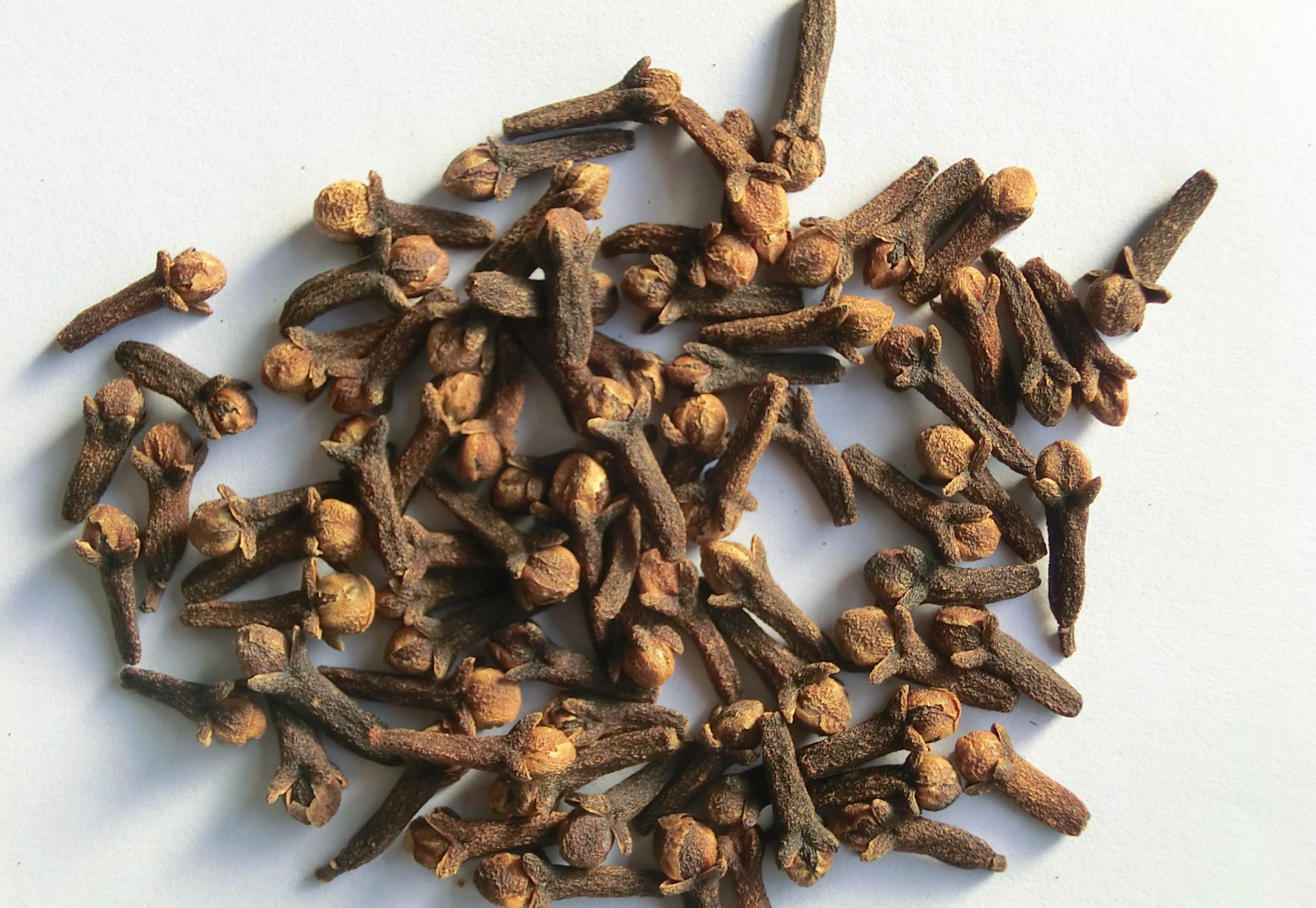 丁香粉公丁香粉廠家直銷