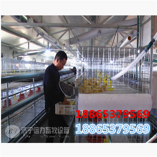 pp清糞帶好還是pvc清糞帶好 養(yǎng)*應(yīng)該用什么材質(zhì)的清糞帶